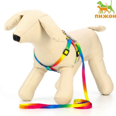 Set "Rainbow", Kapron, leash 120 x 1 cm, fire 24-34 cm, multi-colored