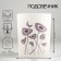 Flower Glade Climber 9.3x7.7 cm, 240 ml