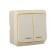 Luazon Lighting "League" switch, 10 A, 2 keys, overhead, backlight, beige