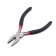 Fisheries Fisheries Direct Namazu, l = 115 mm