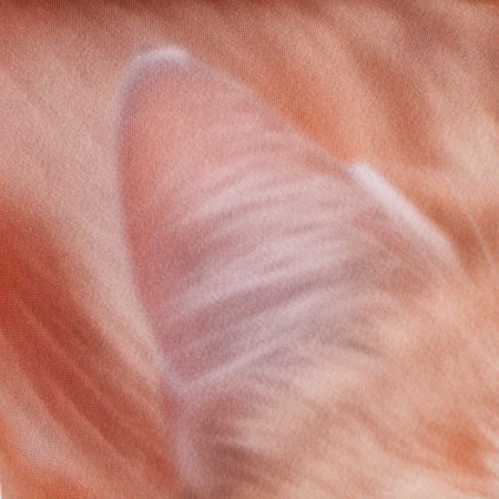 Antistress pillow "Shinchilla"-4