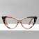 Glasses GA0481 (Color: C2 Print; Diopter: +2.5; Toning: No)