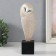 Souvenir Polystone "Owl - the user of the siberian on the hemp" Sand 8.5x7x19 cm
