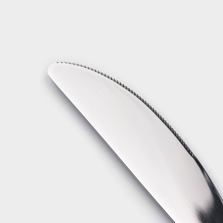 Stainless steel knife Magistro "Gentry", length 22.5 cm, silver color-1