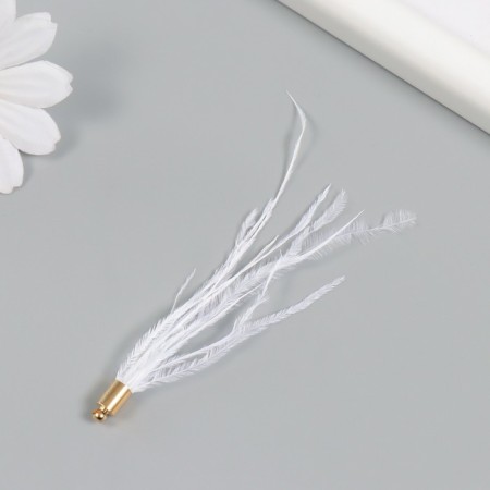 Decor for creativity Pen "Brush Ostrus" set 2 pcs white 9x0.5 cm-2