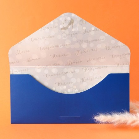 Envelope for money, soft. Tach, 19x9 cm "Live Dream", Princess-2
