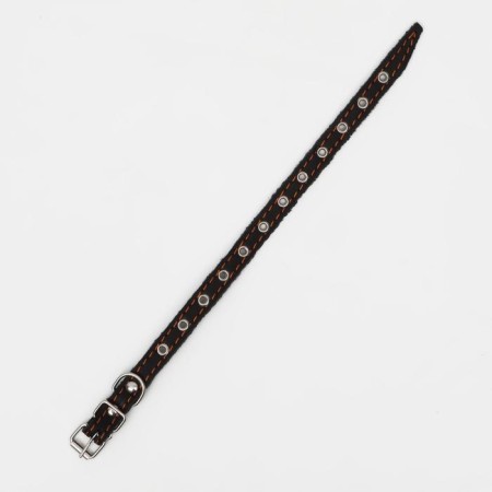 Collar leather single-layer, dimensionless, 37 x 1.5 cm, Osh 21-32 cm, black-2