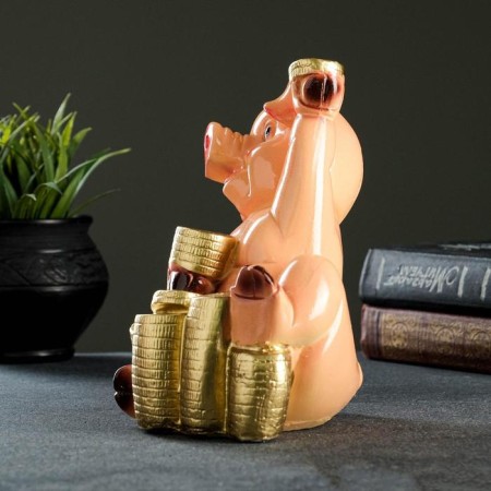 Pigger "Pig with coins" 19x21x13cm-1