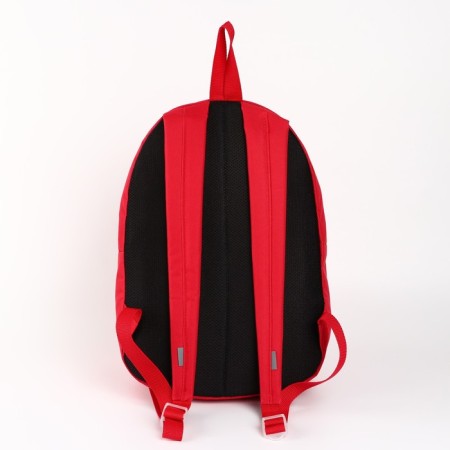 Putin Team backpack, 29 x 13 x 44 cm, lightning department, n/pocket, red-4