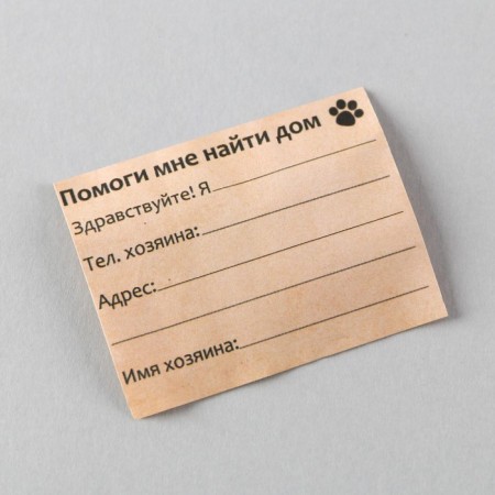 Address "True Sputnik" to invest a note, capsule 5.2x1.4 cm-6