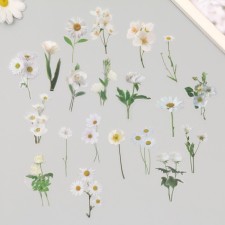 Plastic stickers 