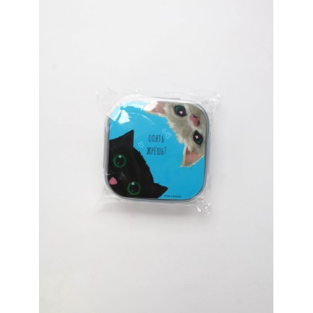 Lunch - boxing with sections and spoon "Cats", 17.8 x 17.8 x 7 cm-9
