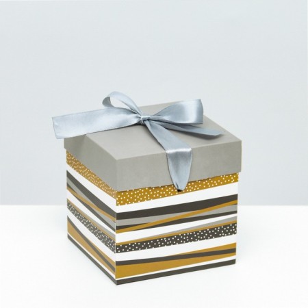 Self -assembly box "line" gray 10x10x10 cm