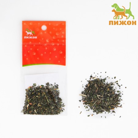Cat mint "Pijon", 1 g