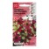Petunia Flower seeds "Sophistry Lime Bikolor", F, 5 pcs