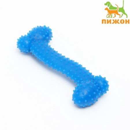 Chewing toy Superproof "Favorite Belief", 11 cm, Blue