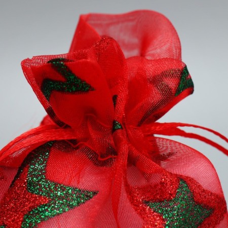 Bag gift organza "Stars", 10 x 12 cm +/- 1.5 cm, New Year-2