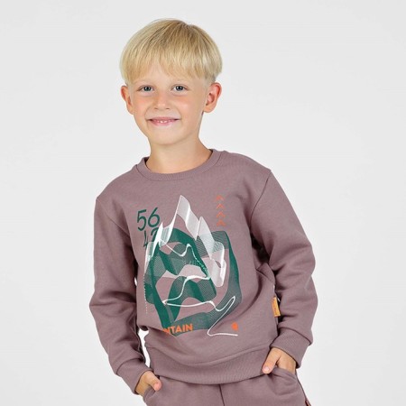 Sweatshirt for boys, height 104 cm, brown color
