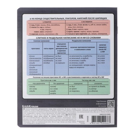 Subject notebook, 48 sheets, ruler, Russian Erichkrause "Chubrik", plastic cover silk-screen covers, Blok Offset 100%, information block-9