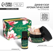 The aromatic diffuser for the house stones with the aromatic malady of 