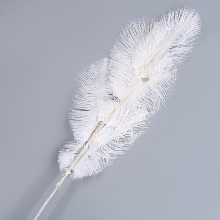 Decor of feathers "Fountain" on the leg, height - 68 cm-4