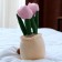 Soft toy "Tulip", Mix colors