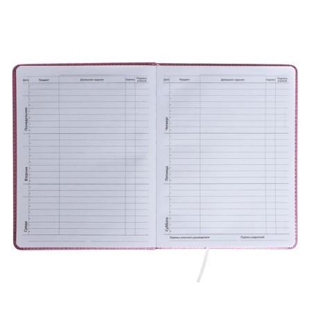 Universal diary for Butterfly 1-11 grade, hard cover, artificial leather, foam rubber, liesse, 80 g/m2-6