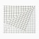 Capatter of the share cage ts. White 137*183 cm