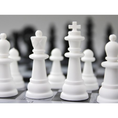 Shakhmat checkers, large, gray color-8