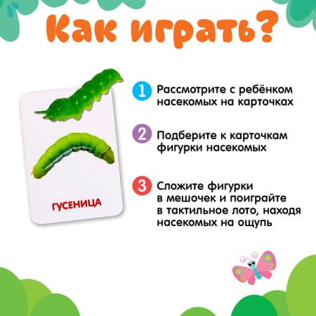 Developing set with cards "World of insects", according to the methodology of Doman-1