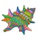 Puzzle "Shell"