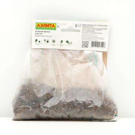 Sahenian Avalia Snow Star, 1 pc, Spring 2024-1