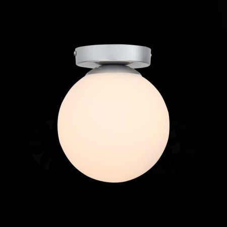 Wall lamp EVOLUCE. SL717.501.01. Acini. 1x40 W, E27, 18x18x22 cm, silver color-1
