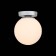 Wall lamp EVOLUCE. SL717.501.01. Acini. 1x40 W, E27, 18x18x22 cm, silver color