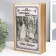 Broke-book metal, glass "William Shakespeare. Dream on a summer night" 30x20x6.8 cm