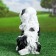 Piggy bank "Russian spaniel" 15x20x26cm