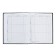Universal Diary 5-11 classes, 48 ​​sheets "Leo", SoftTouch, solid cover, block 65 g/m2