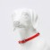 Metal collar with eco -leather insert, 60 cm x 3 mm