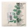Salfets single -layer "eco" eucalyptus 24x24 cm, set of 50 pcs.