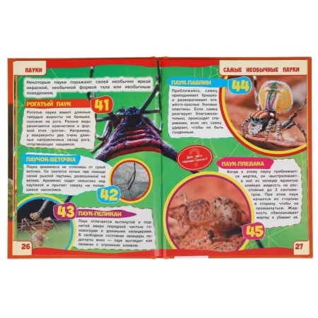 Spiders. Encyclopedia with developing tasks-3