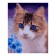 Picture on numbers on cardboard 40 × 50 cm "Cat and cornflower"