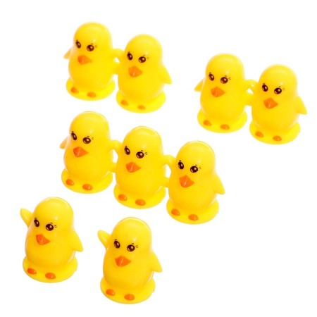 Developing set "Libra. Ducks "-10