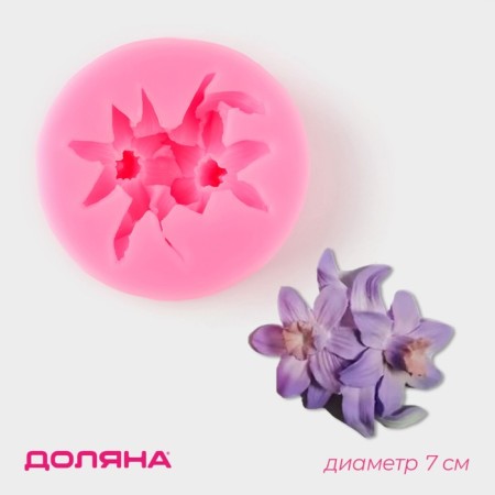 Mold Dolyana "Flowering", silicone, d = 7 cm, color mix