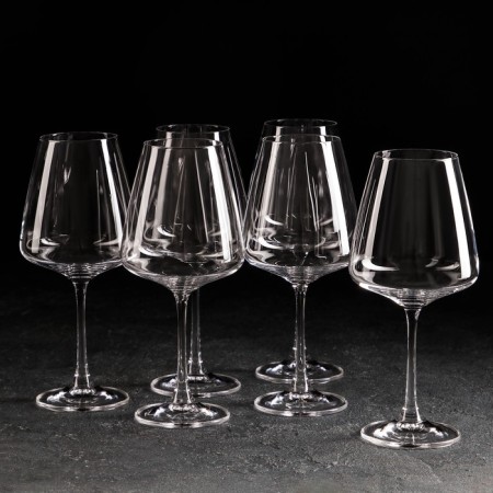 Set of glasses for wine Corvus, 450 ml, 6 pcs