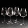 Set of glasses for wine Corvus, 450 ml, 6 pcs