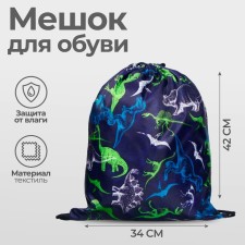 A bag for shoes 420 x 340 mm, Calligrata MSO-5C, (soft polyester, density 210D), 