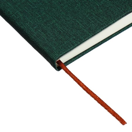 Leduced Diary A5, 96l, Lin, Holder for phone/tablet/handles, green-3