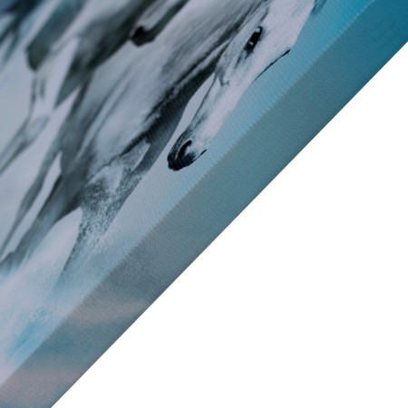 Picture on the canvas "to meet the wind" 50*70 cm-1