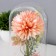 Non-chick "Pion Small" LED from 3xlr1130 batteries pink-beige 9.5x9.5x16.5 cm Risalux 736365