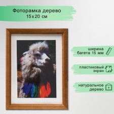 Photo frame 15x20 cm (7N68) Walnut (plastic screen)
